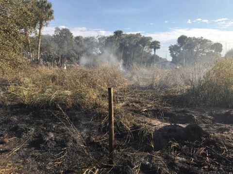 Trowbridge Brush Fire